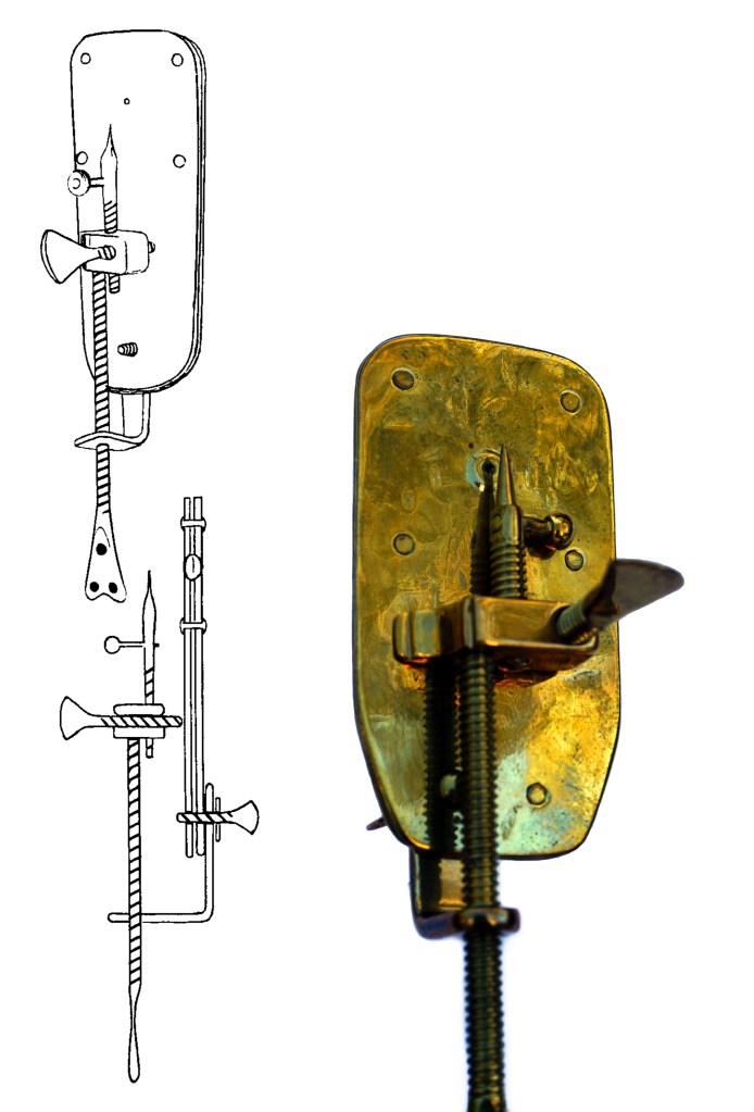 Sketch of a front and side view of a Leeuwenhoek microscope, next to a photograph of a model of a Leeuwenhoek microscope.